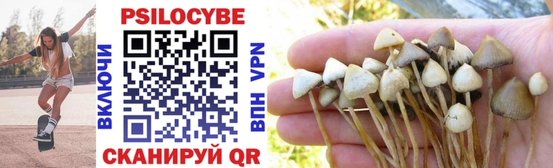 Псилоцибиновые грибы Psilocybe  mega маркетплейс  Ряжск  закладка 